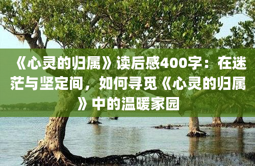 《心灵的归属》读后感400字：在迷茫与坚定间，如何寻觅《心灵的归属》中的温暖家园