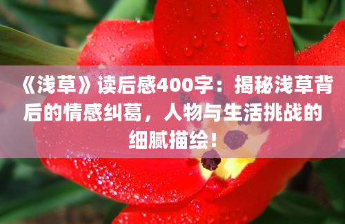 《浅草》读后感400字：揭秘浅草背后的情感纠葛，人物与生活挑战的细腻描绘！