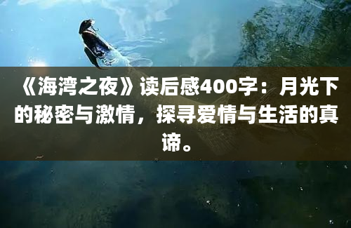 《海湾之夜》读后感400字：月光下的秘密与激情，探寻爱情与生活的真谛。