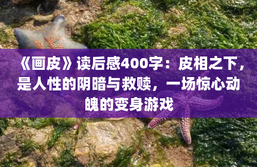 《画皮》读后感400字：皮相之下，是人性的阴暗与救赎，一场惊心动魄的变身游戏