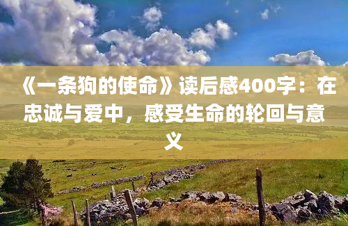 《一条狗的使命》读后感400字：在忠诚与爱中，感受生命的轮回与意义