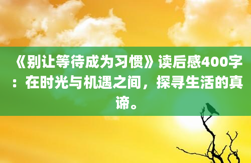 《别让等待成为习惯》读后感400字：在时光与机遇之间，探寻生活的真谛。