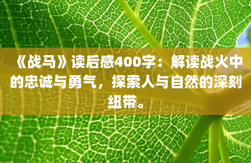 《战马》读后感400字：解读战火中的忠诚与勇气，探索人与自然的深刻纽带。