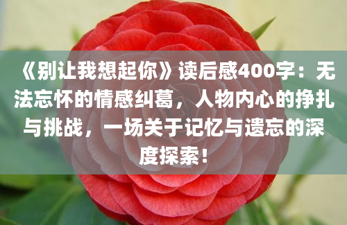 《别让我想起你》读后感400字：无法忘怀的情感纠葛，人物内心的挣扎与挑战，一场关于记忆与遗忘的深度探索！