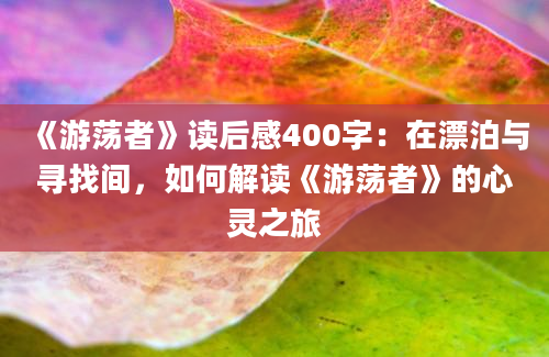 《游荡者》读后感400字：在漂泊与寻找间，如何解读《游荡者》的心灵之旅