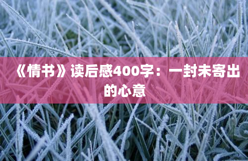 《情书》读后感400字：一封未寄出的心意