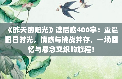 《昨天的阳光》读后感400字：重温旧日时光，情感与挑战并存，一场回忆与悬念交织的旅程！