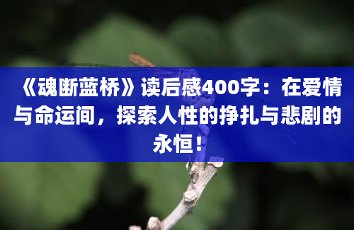 《魂断蓝桥》读后感400字：在爱情与命运间，探索人性的挣扎与悲剧的永恒！