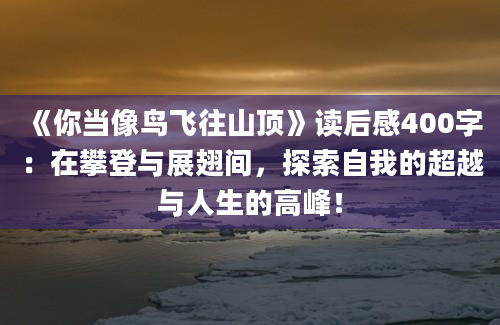 《你当像鸟飞往山顶》读后感400字：在攀登与展翅间，探索自我的超越与人生的高峰！