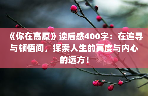 《你在高原》读后感400字：在追寻与顿悟间，探索人生的高度与内心的远方！