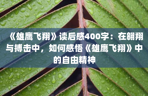 《雄鹰飞翔》读后感400字：在翱翔与搏击中，如何感悟《雄鹰飞翔》中的自由精神