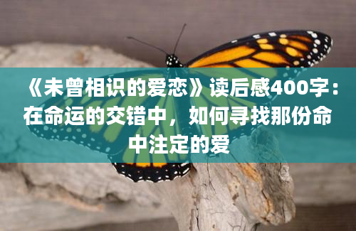 《未曾相识的爱恋》读后感400字：在命运的交错中，如何寻找那份命中注定的爱