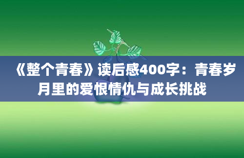 《整个青春》读后感400字：青春岁月里的爱恨情仇与成长挑战