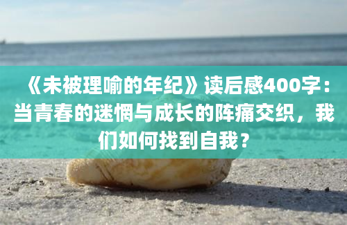 《未被理喻的年纪》读后感400字：当青春的迷惘与成长的阵痛交织，我们如何找到自我？