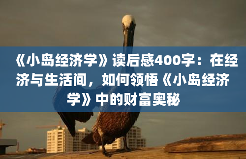 《小岛经济学》读后感400字：在经济与生活间，如何领悟《小岛经济学》中的财富奥秘