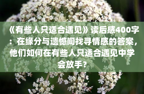 《有些人只适合遇见》读后感400字：在缘分与遗憾间找寻情感的答案，他们如何在有些人只适合遇见中学会放手？