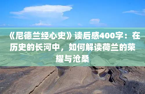 《尼德兰经心史》读后感400字：在历史的长河中，如何解读荷兰的荣耀与沧桑