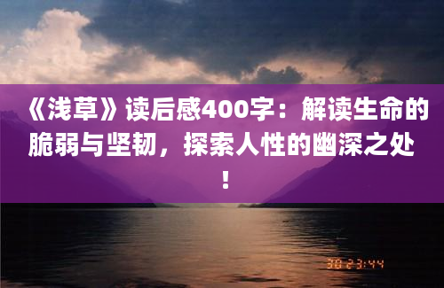 《浅草》读后感400字：解读生命的脆弱与坚韧，探索人性的幽深之处！