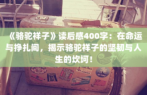 《骆驼祥子》读后感400字：在命运与挣扎间，揭示骆驼祥子的坚韧与人生的坎坷！