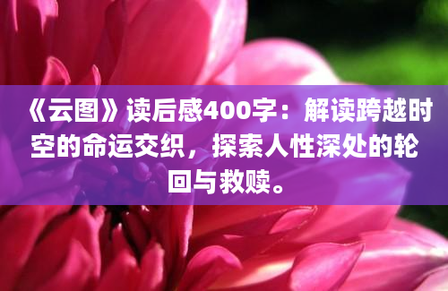 《云图》读后感400字：解读跨越时空的命运交织，探索人性深处的轮回与救赎。