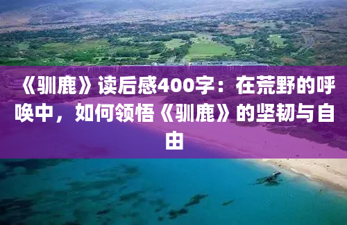 《驯鹿》读后感400字：在荒野的呼唤中，如何领悟《驯鹿》的坚韧与自由