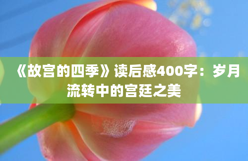 《故宫的四季》读后感400字：岁月流转中的宫廷之美