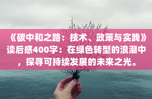 《碳中和之路：技术、政策与实践》读后感400字：在绿色转型的浪潮中，探寻可持续发展的未来之光。