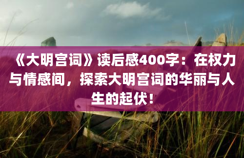 《大明宫词》读后感400字：在权力与情感间，探索大明宫词的华丽与人生的起伏！