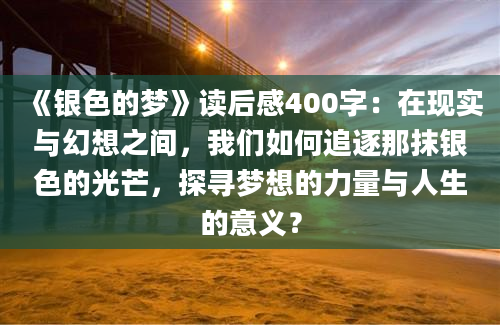 《银色的梦》读后感400字：在现实与幻想之间，我们如何追逐那抹银色的光芒，探寻梦想的力量与人生的意义？