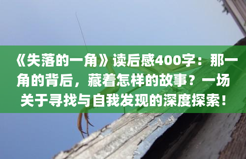 《失落的一角》读后感400字：那一角的背后，藏着怎样的故事？一场关于寻找与自我发现的深度探索！