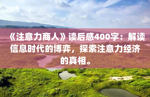 《注意力商人》读后感400字：解读信息时代的博弈，探索注意力经济的真相。