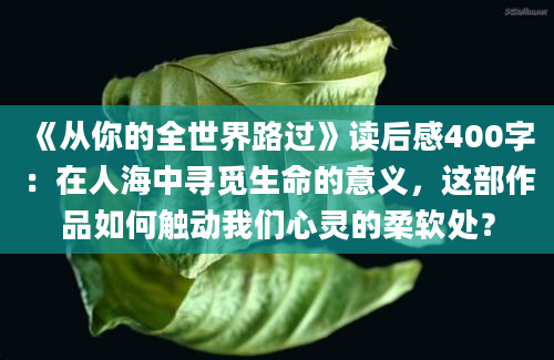 《从你的全世界路过》读后感400字：在人海中寻觅生命的意义，这部作品如何触动我们心灵的柔软处？