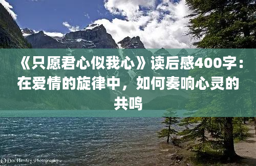 《只愿君心似我心》读后感400字：在爱情的旋律中，如何奏响心灵的共鸣