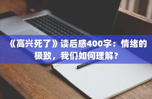 《高兴死了》读后感400字：情绪的极致，我们如何理解？