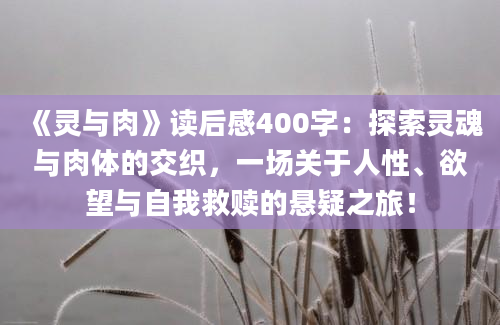 《灵与肉》读后感400字：探索灵魂与肉体的交织，一场关于人性、欲望与自我救赎的悬疑之旅！