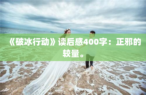 《破冰行动》读后感400字：正邪的较量。