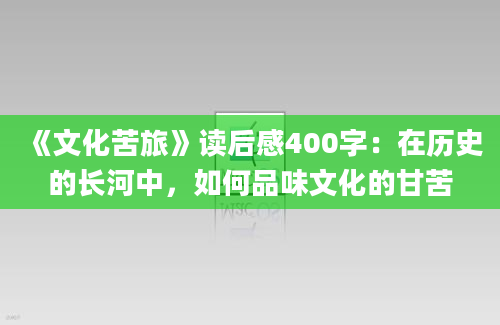 《文化苦旅》读后感400字：在历史的长河中，如何品味文化的甘苦