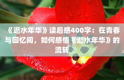 《逝水年华》读后感400字：在青春与回忆间，如何感悟《逝水年华》的流转