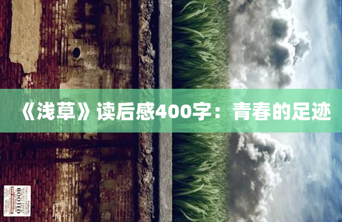 《浅草》读后感400字：青春的足迹