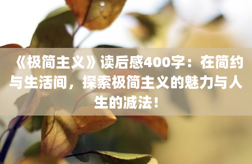 《极简主义》读后感400字：在简约与生活间，探索极简主义的魅力与人生的减法！