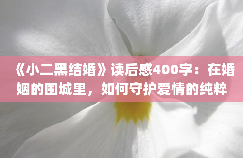 《小二黑结婚》读后感400字：在婚姻的围城里，如何守护爱情的纯粹