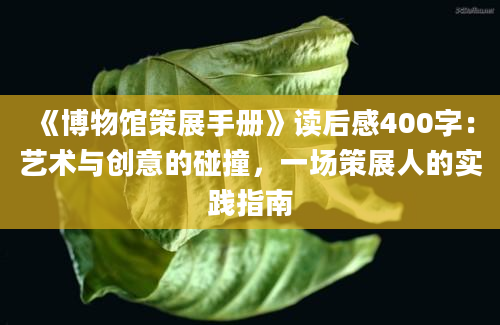 《博物馆策展手册》读后感400字：艺术与创意的碰撞，一场策展人的实践指南