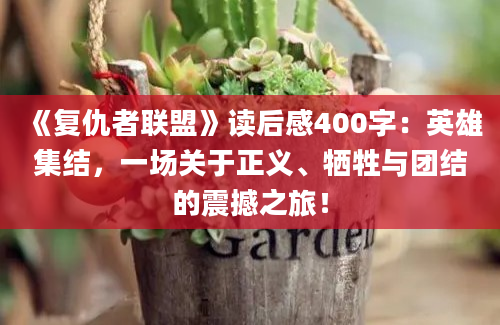 《复仇者联盟》读后感400字：英雄集结，一场关于正义、牺牲与团结的震撼之旅！