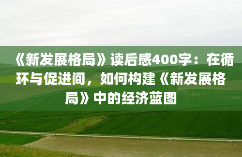 《新发展格局》读后感400字：在循环与促进间，如何构建《新发展格局》中的经济蓝图