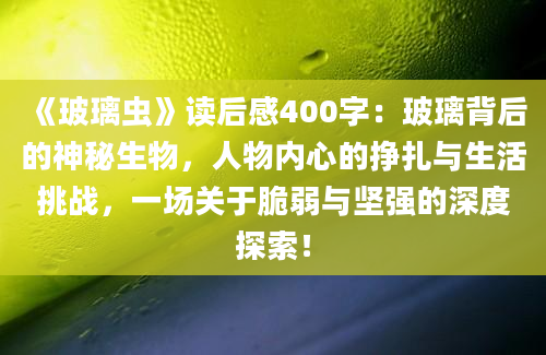 《玻璃虫》读后感400字：玻璃背后的神秘生物，人物内心的挣扎与生活挑战，一场关于脆弱与坚强的深度探索！