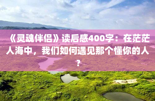 《灵魂伴侣》读后感400字：在茫茫人海中，我们如何遇见那个懂你的人？