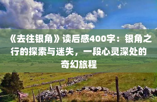 《去往银角》读后感400字：银角之行的探索与迷失，一段心灵深处的奇幻旅程