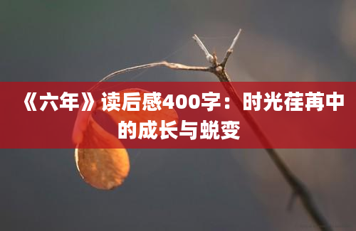 《六年》读后感400字：时光荏苒中的成长与蜕变