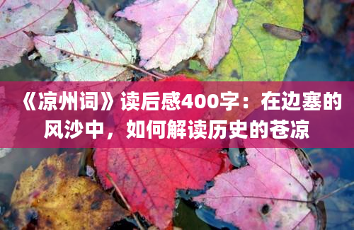 《凉州词》读后感400字：在边塞的风沙中，如何解读历史的苍凉