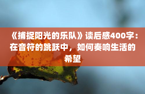 《捕捉阳光的乐队》读后感400字：在音符的跳跃中，如何奏响生活的希望